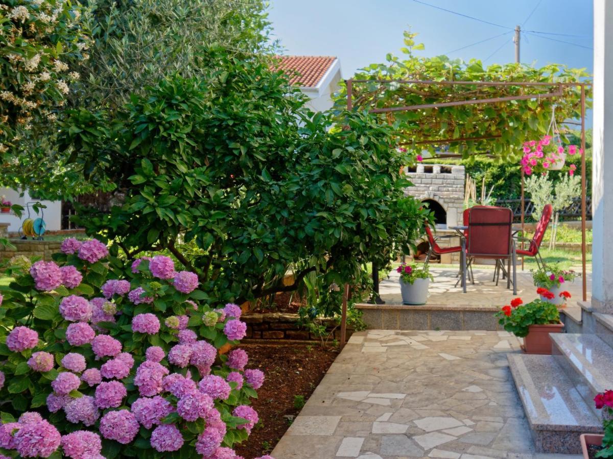 Apartments Marta By Rent Istria Novigrad Istria Kültér fotó